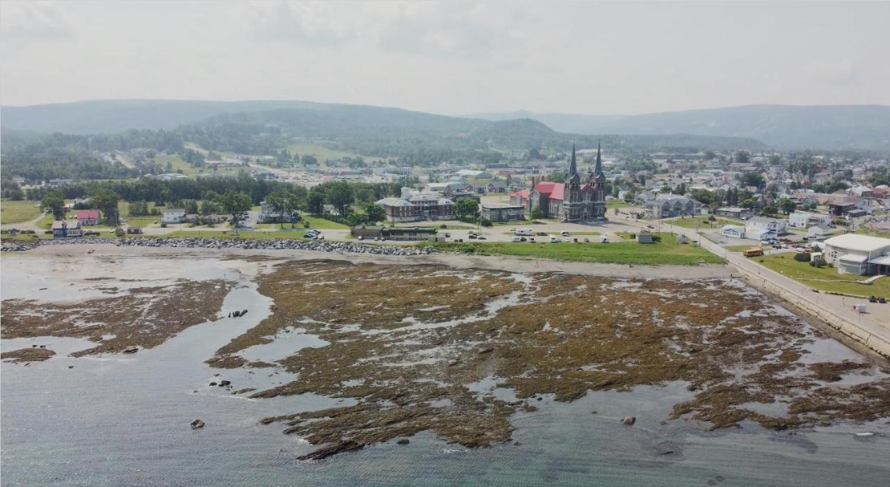 Le Couvent Lägenhet Sainte Anne-des-Chênes Exteriör bild